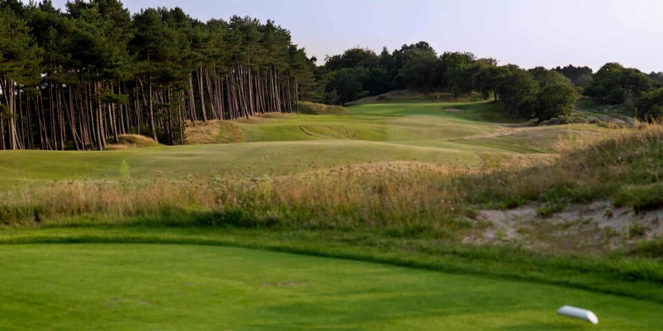 Royal-Hague