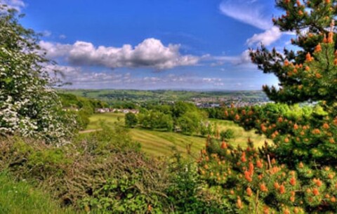 kendal-3